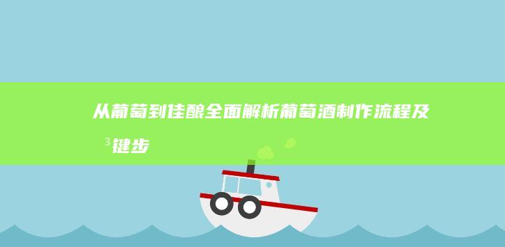 从葡萄到佳酿：全面解析葡萄酒制作流程及关键步骤